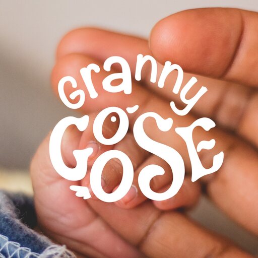 Granny Goose Daycare  banner