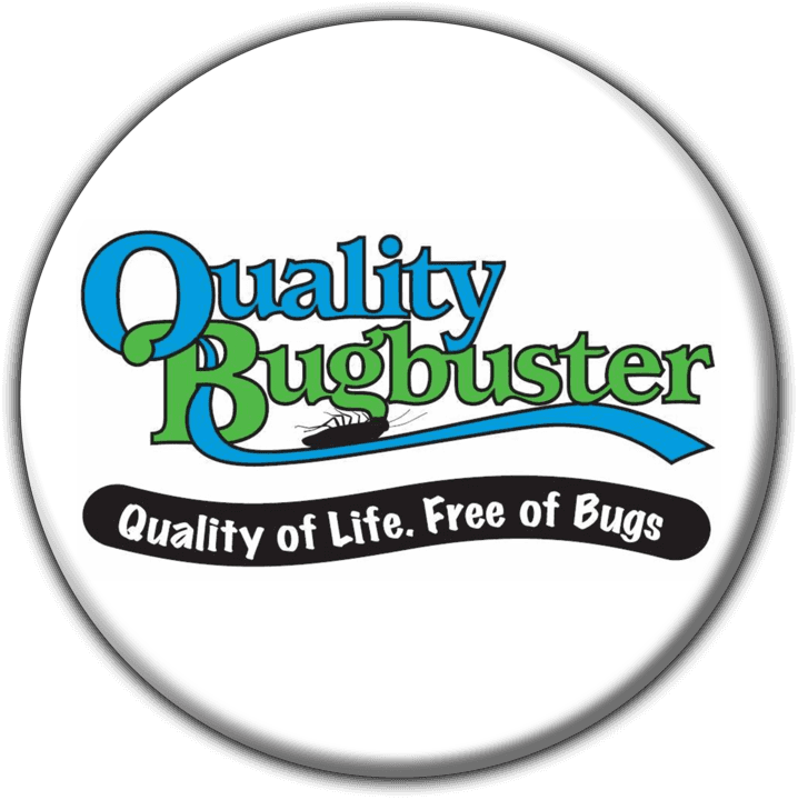 Quality Bug Busters banner