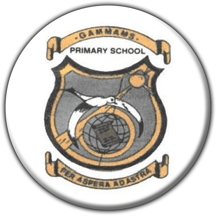 Gammams Primary School banner