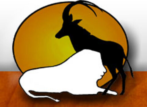 Erongo Taxidermy banner