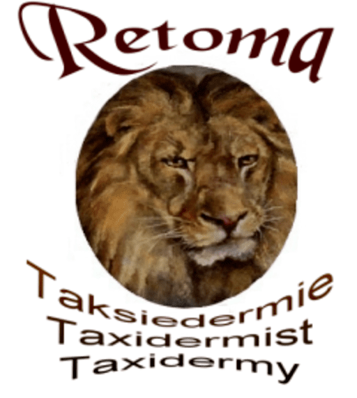 Taxidermy Retoma banner