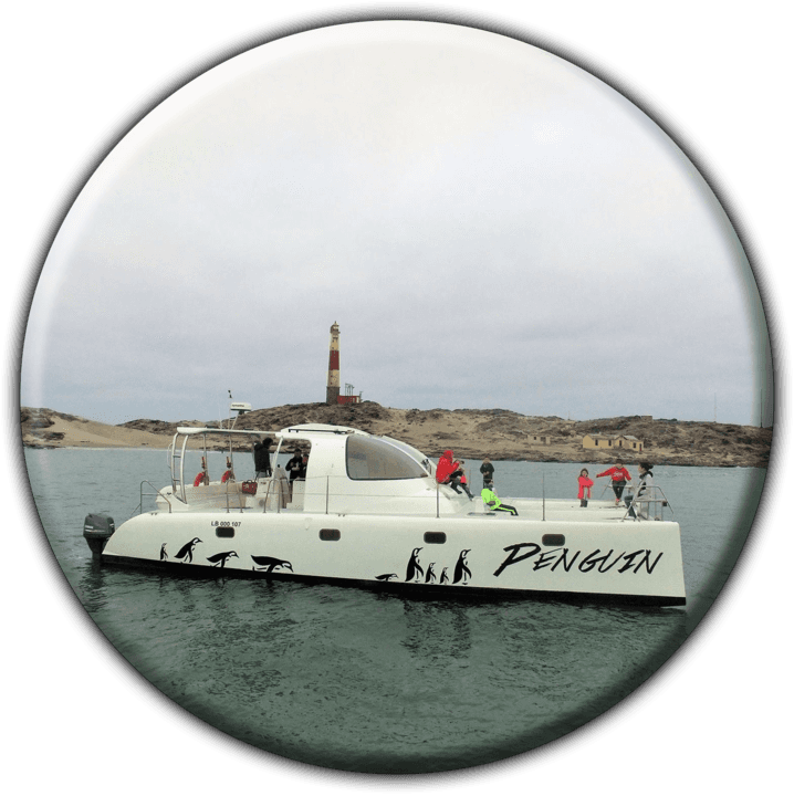 Penguin Catamaran Tours banner
