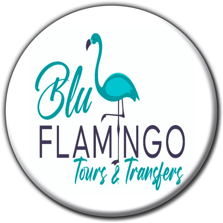 Blu Flamingo Tours & Transfers - Tours and Safaris Operators in Swakopmund, Namibia