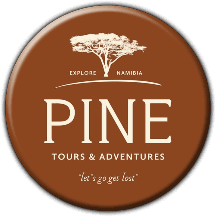 Pine Tours & Adventures banner