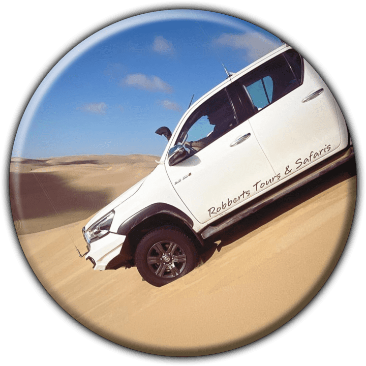 Robberts Tours & Safaris banner