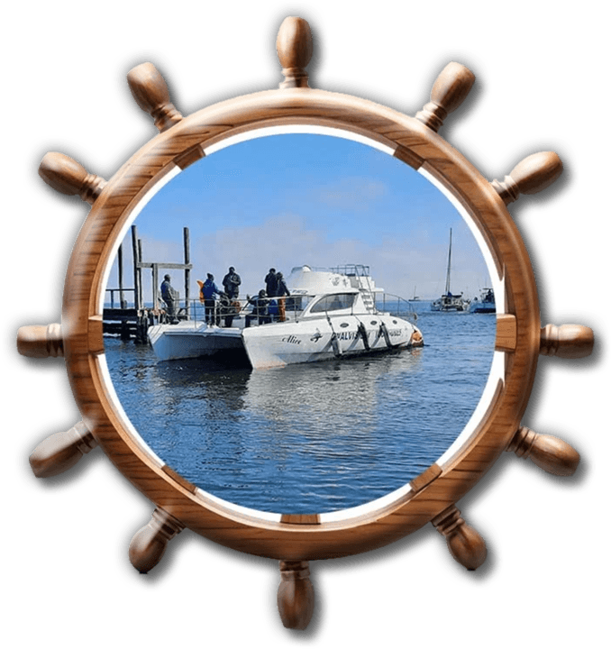 Walvis Bay Tours banner