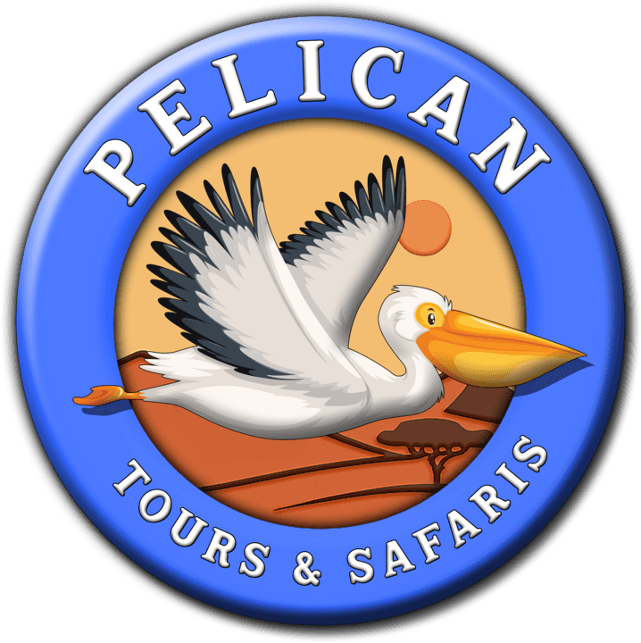Pelican Tours and Safaris banner